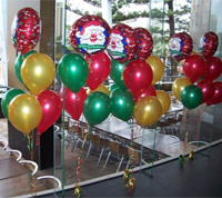 Balloon Modeller West Cork